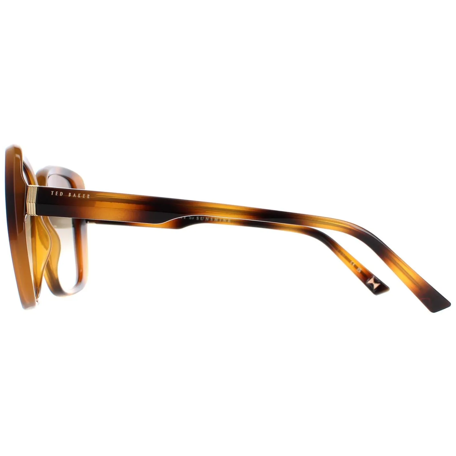 Ted Baker Square|Ted Baker^Sunglasses TB1640 Margo 136 Havana Brown Gradient