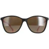 Ted Baker Square|Ted Baker^Sunglasses TB1443 Perry 001 Black and Pink Brown Grey