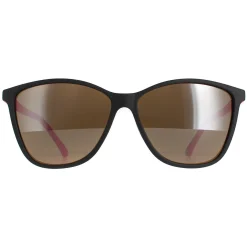 Ted Baker Square|Ted Baker^Sunglasses TB1443 Perry 001 Black and Pink Brown Grey