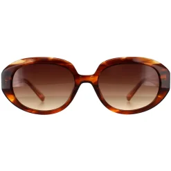 Ted Baker Oval|Ted Baker^Sunglasses TB1689 Penny 104 Brown Horn Brown Gradient