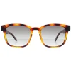 Ted Baker Rectangle^Sunglasses TB1635 Surf 122 Polished Dark Tortoise Grey Gradi