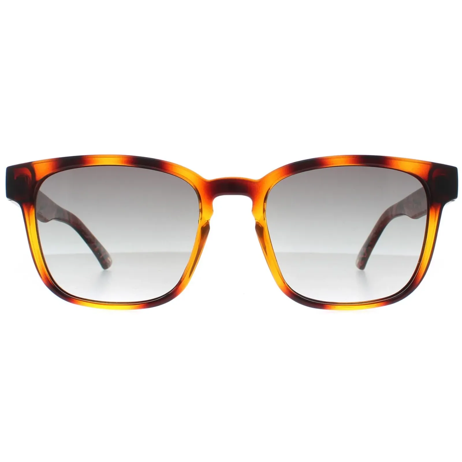 Ted Baker Rectangle^Sunglasses TB1635 Surf 122 Polished Dark Tortoise Grey Gradi