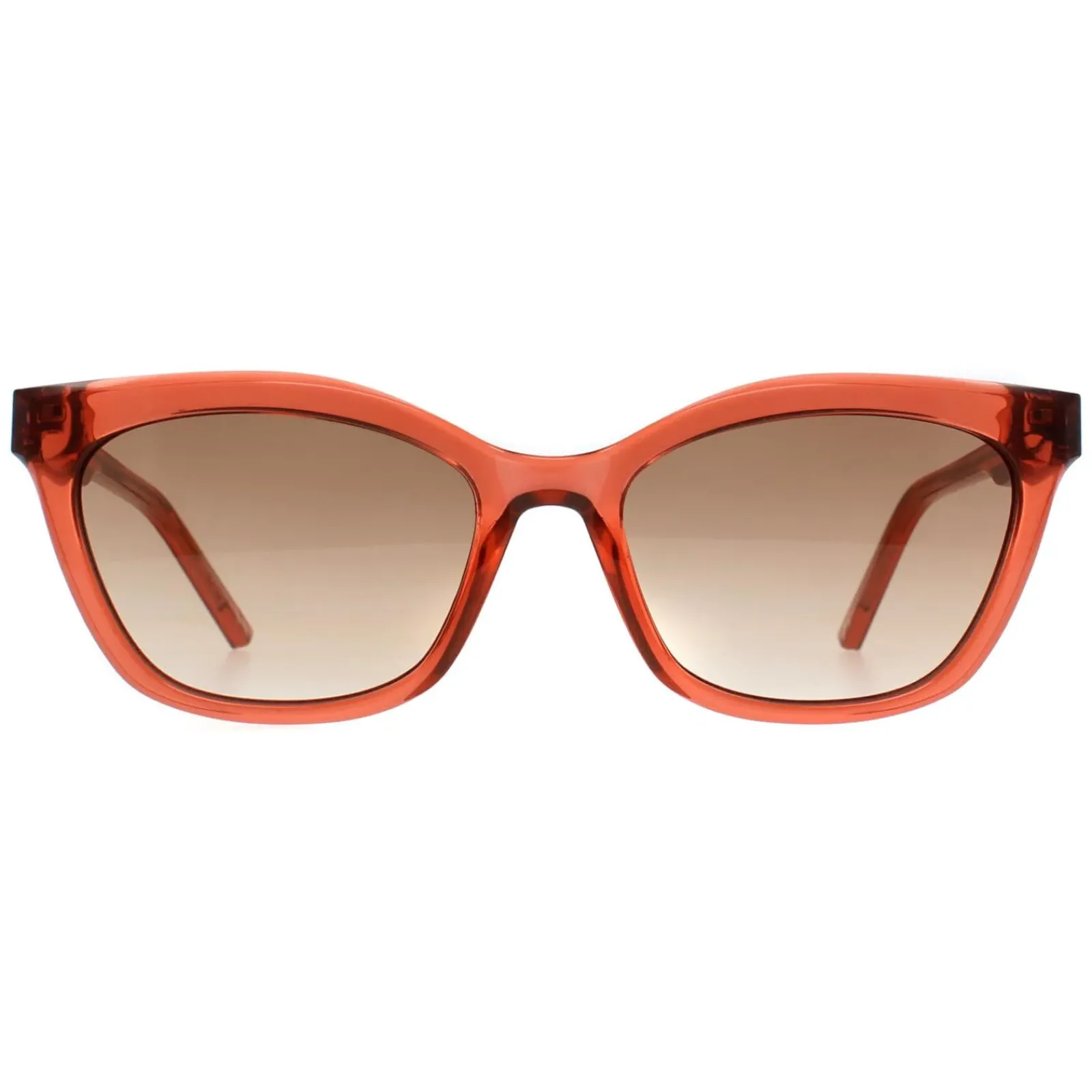 Ted Baker Cat-Eye|Ted Baker^Sunglasses TB1639 Tanner 220 Transparent Candy Cane Red Brow