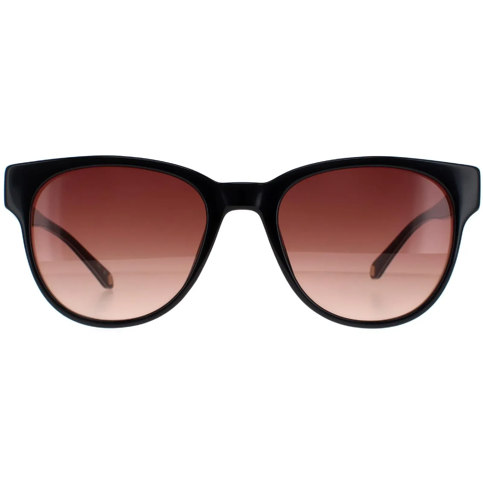 Ted Baker Round^Sunglasses TB1627 Ware 001 Black Brown Gradient