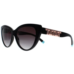 Tiffany Cat-Eye^Sunglasses TF4196 80013C Black Grey Gradient