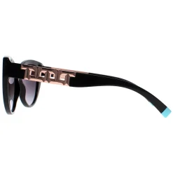 Tiffany Cat-Eye^Sunglasses TF4196 80013C Black Grey Gradient