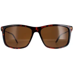 Timberland Square^Sunglasses TB7177 52E Brown Brown