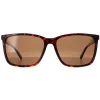 Timberland Polarised|Square^Sunglasses TB9280-H 52H Dark Havana Brown Polarized
