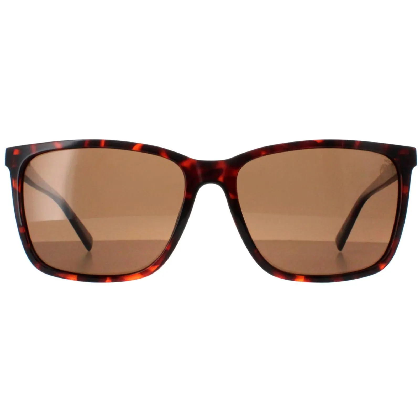 Timberland Polarised|Square^Sunglasses TB9280-H 52H Dark Havana Brown Polarized